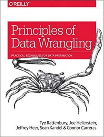 Principles of Data Wrangling: Practical Techniques for Data Preparation 1st Edition - фото 1