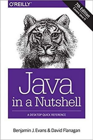 Java in a Nutshell: A Desktop Quick Reference 7th Edition - фото 1