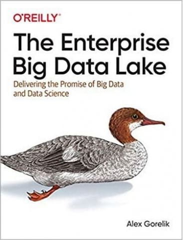 The Enterprise Big Data Lake: Delivering the Promise of Big Data and Data Science 1st Edition - фото 1