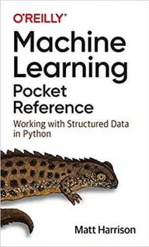 Machine Learning Pocket Reference: Working with Structured Data in Python 1st Edition - фото 1