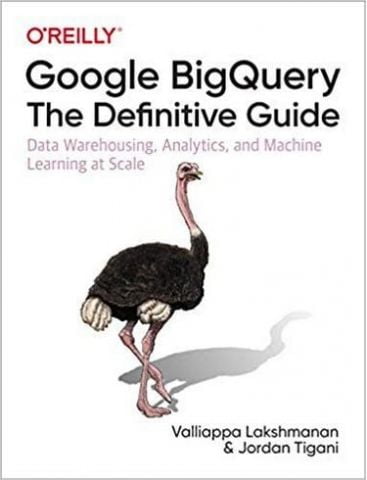 Google BigQuery: The Definitive Guide: Data Warehousing, Analytics, and Machine Learning at Scale 1st Edition - фото 1