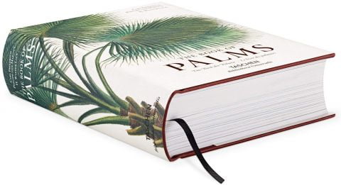 The Book of Palms (Bibliotheca Universalis) (Multilingual Edition) - фото 2