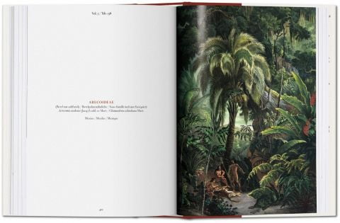 The Book of Palms (Bibliotheca Universalis) (Multilingual Edition) - фото 4