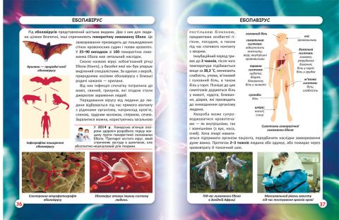 Світ навколо нас. Віруси - фото 3