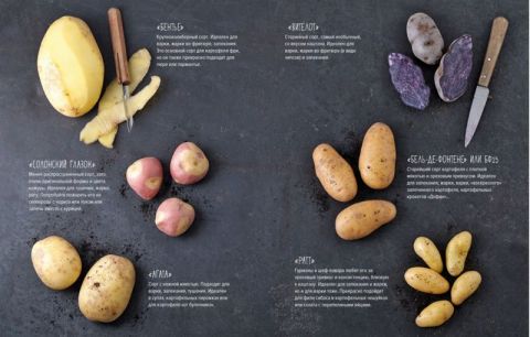 Картошка во всем ее многообразии - фото 3
