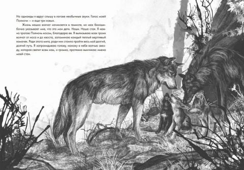 Волк по имени Странник - фото 2