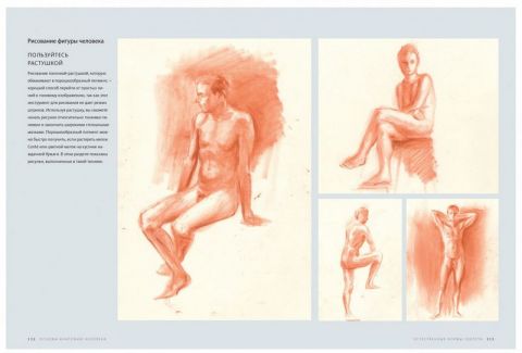 Основы анатомии человека. Наглядное руководство для художников - фото 7