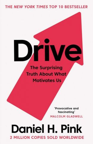 Drive: The Surprising Truth About What Motivates Us - фото 1