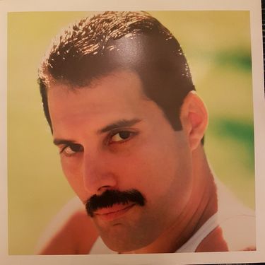 Freddie Mercury - Mr. Bad Guy (Vinyl) - фото 4
