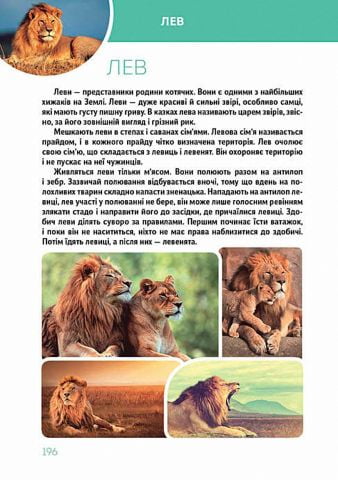 Велика книга про тварин - фото 11
