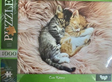 Пазлы 1000 элементов Cute Kittens Danko Toys - фото 1