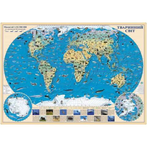 Світ. Карта тварин. 65x45 см. Масштаб 1:54 500 000. Картон - фото 1