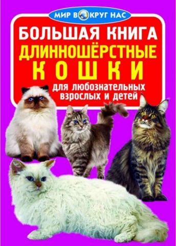 Большая книга. Длинношерстные кошки - фото 1