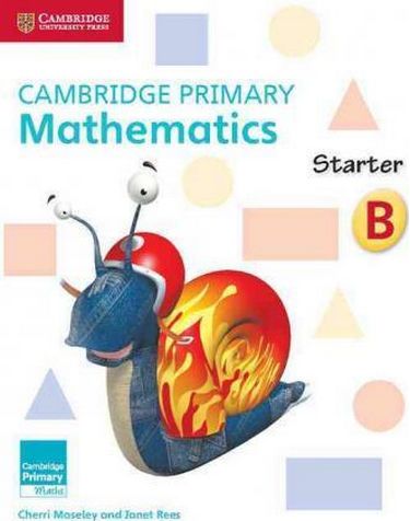 Cambridge Primary Mathematics Starter Activity Book B - фото 1