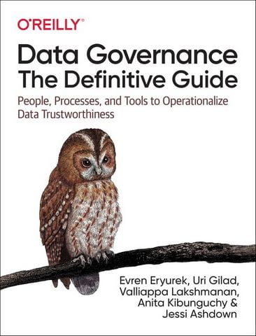 Data Governance: The Definitive Guide: People, Processes, and Tools to Operationalize Data Trustworthiness - фото 1