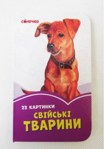 Бузкові книжки Свійськи тварини (у)