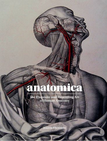 Anatomica. The Exquisite and Unsettling Art of Human...