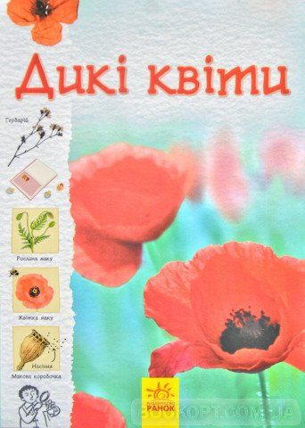 Стежками природи Дикі квіти