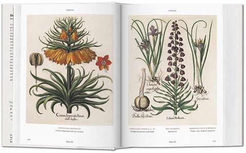 bu - BOOK OF PLANTS-FLORILEGIUM - BU - фото 4