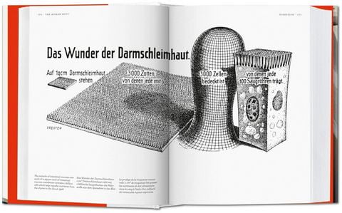 Fritz Kahn. Infographics Pioneer (Bibliotheca Universalis) (Multilingual Edition) - фото 2