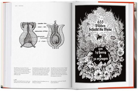 Fritz Kahn. Infographics Pioneer (Bibliotheca Universalis) (Multilingual Edition) - фото 4