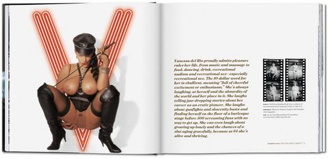 Vanessa del Rio, DVD Ed. - фото 3