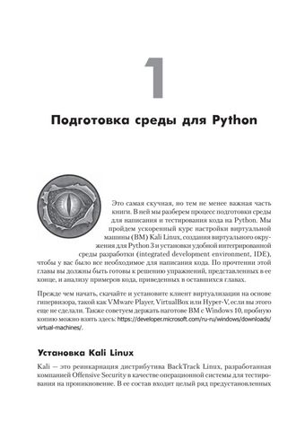 Black Hat Python: программирование для хакеров и пентестеров  2-е издание - фото 5