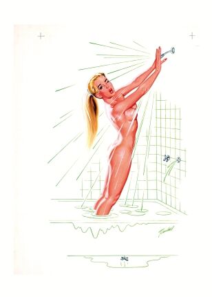 BILL RANDALL. Flooded Bathtub - фото 1