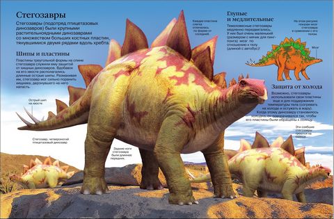 Детская энциклопедия динозавров - фото 2