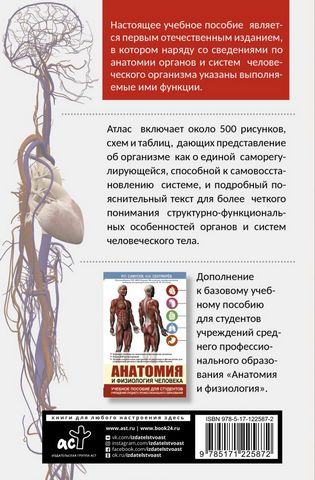 Атлас анатомии и физиологии человека. Учебное пособие для студентов учреждений среднего профессионального образования - фото 2