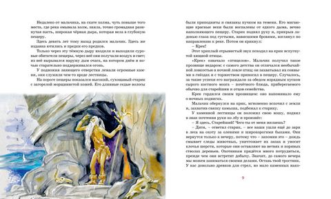 Приключения доисторического мальчика (нов.обл.) - фото 2
