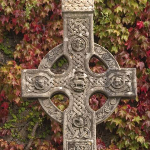 Irish Heritage 2022 - фото 8