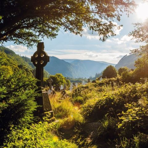 Irish Heritage 2022 - фото 11