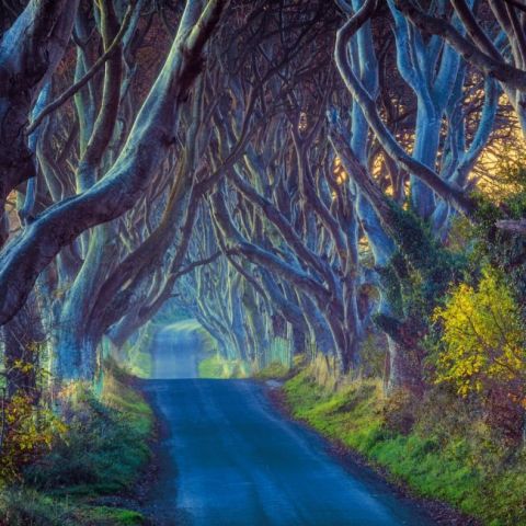 Irish Heritage 2022 - фото 13