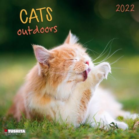Cats+Outdoors+2022 - фото 1