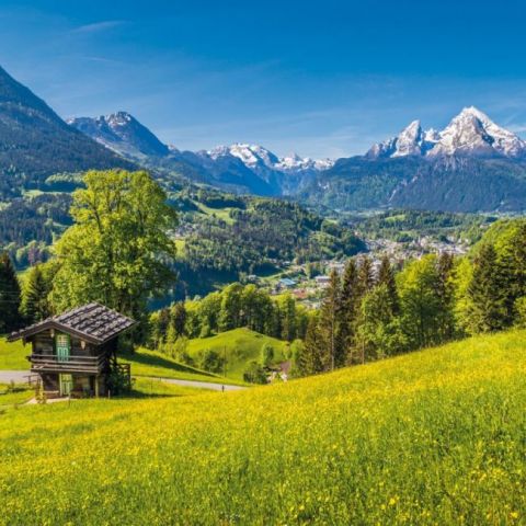 Alpen Heimat 2022 - фото 5