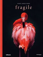 Fragile - Хобби Увлечения