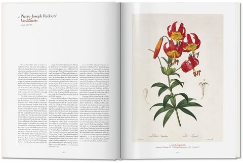 A Garden Eden. Masterpieces of Botanical Illustration - фото 6