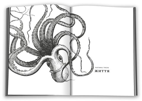 Звідки (майже) все взялося. За матеріалами журналу New Scientist - фото 3