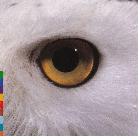 Mari Boine Persen – Gula Gula (CD) - фото 1