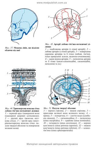 Оперативна хірургія та топографічна анатомія. Підручник (видання 5) - фото 2