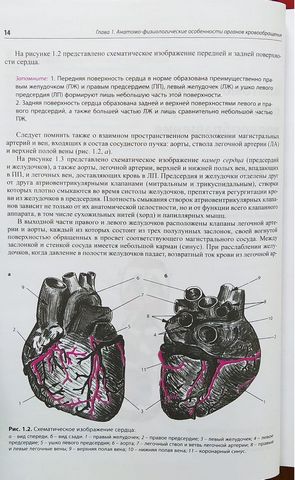 Внутренние болезни. Сердечно-сосудистая система (7-е изд.) - фото 3