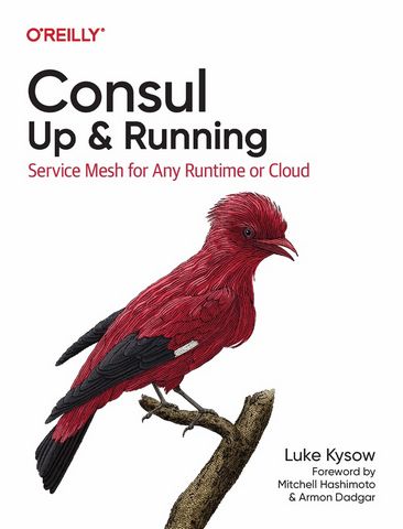 Consul: Up and Running. Service Mesh for Any Runtime or Cloud - фото 1