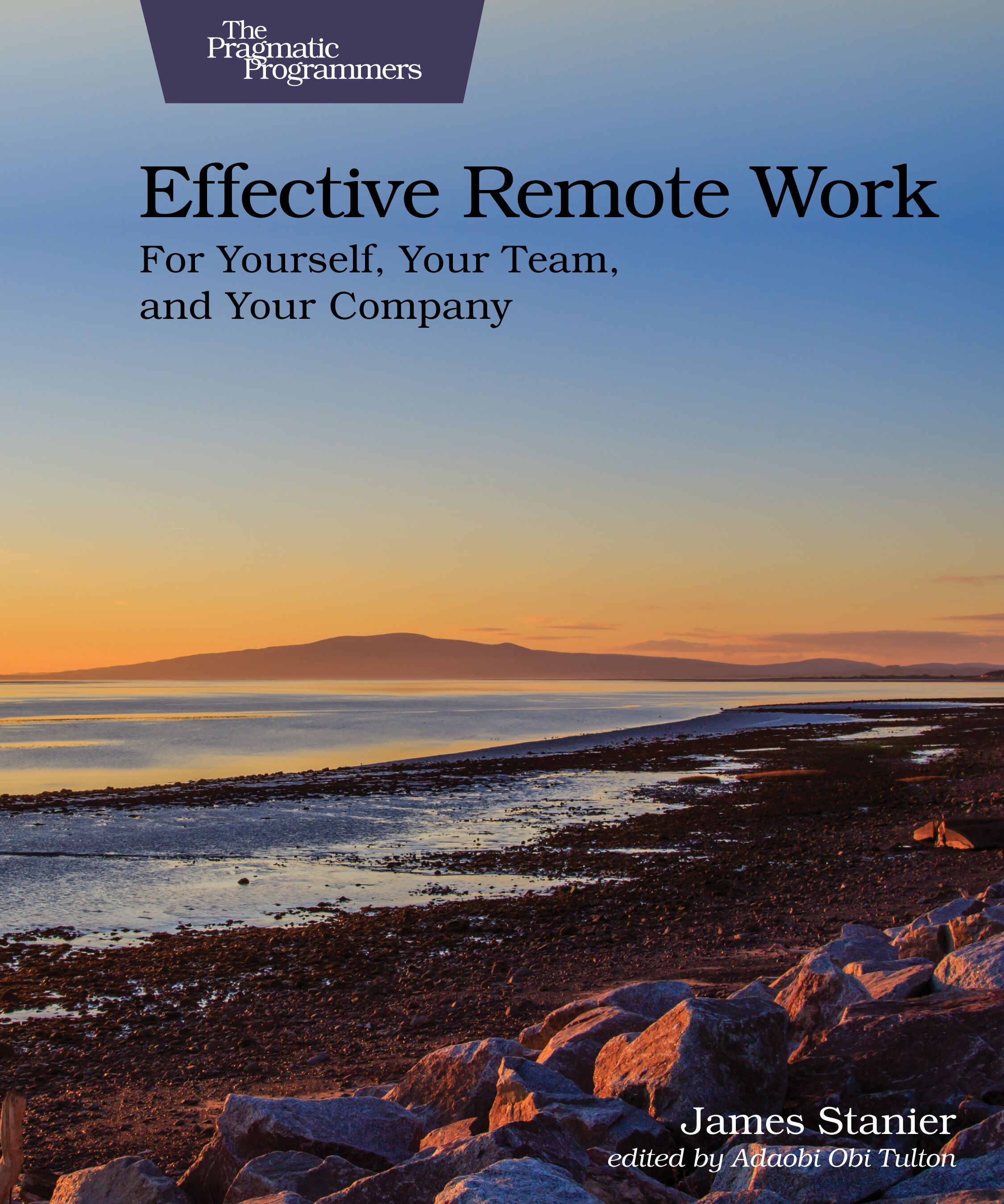 Effective Remote Work. For Yourself, Your Team, and Your Company