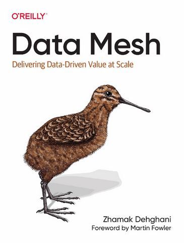 Data Mesh. Delivering Data-Driven Value at Scale - фото 1
