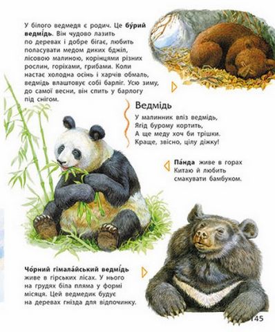 Енциклопедія дошкільника - фото 3