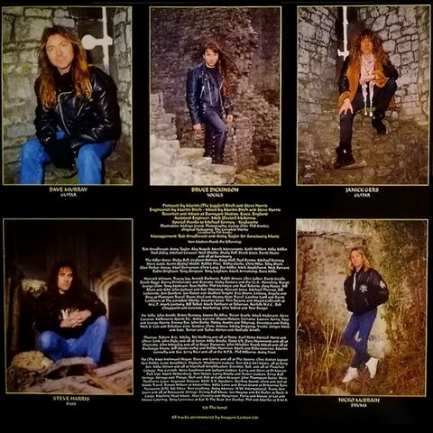 Iron Maiden – Fear Of The Dark (Vinyl) - фото 2