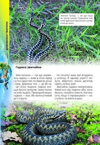 Про все на світі маленьким українцям - фото 4