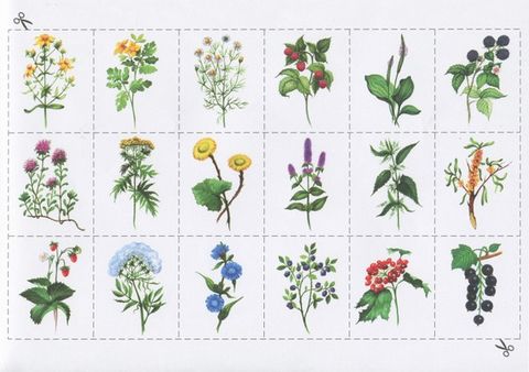 1091 Розповімо дітям.Про лікарські рослини (У) 1015107139У - фото 5