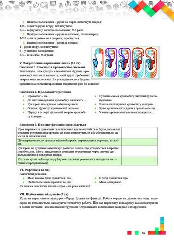 Візуалізація навчального матеріалу на уроках біології. 8 клас - фото 3